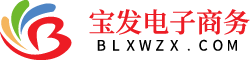 宝发电子商务