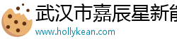 武汉市嘉辰星新能源科技有限公司