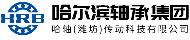 哈轴（潍坊）传动科技有限公司