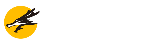 武汉网络推广