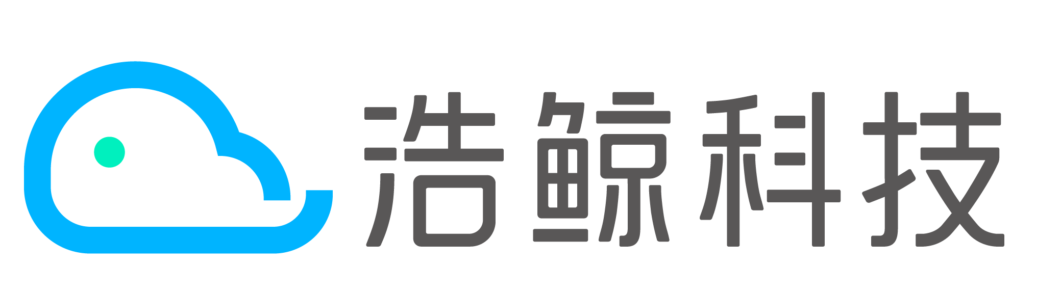 浩鲸科技