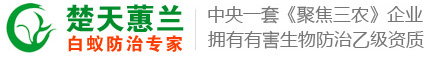武汉白蚁防治