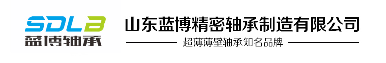 山东蓝博精密轴承制造有限公司