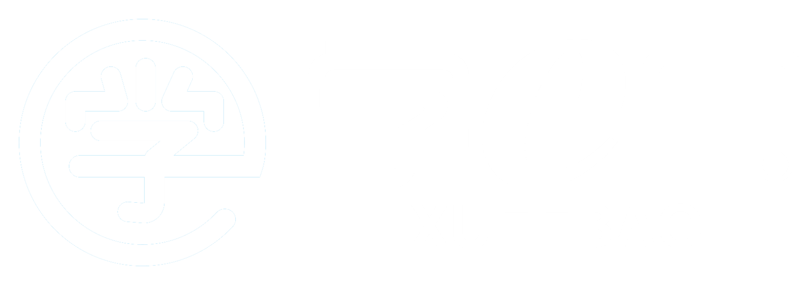 仅做功能展示