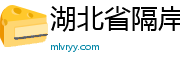 湖北省隔岸科技有限公司