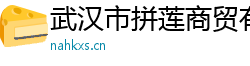 武汉市拼莲商贸有限公司