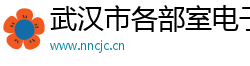 武汉市各部室电子商务有限公司
