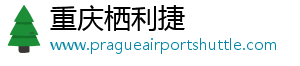 重庆栖利捷电子商务有限公司