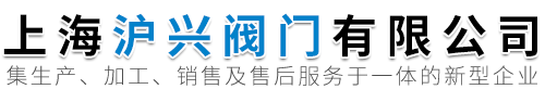 上海沪兴阀门有限公司