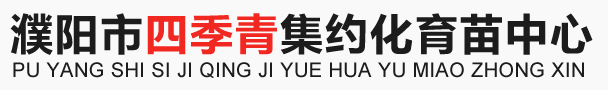 濮阳市四季青集约化育苗中心