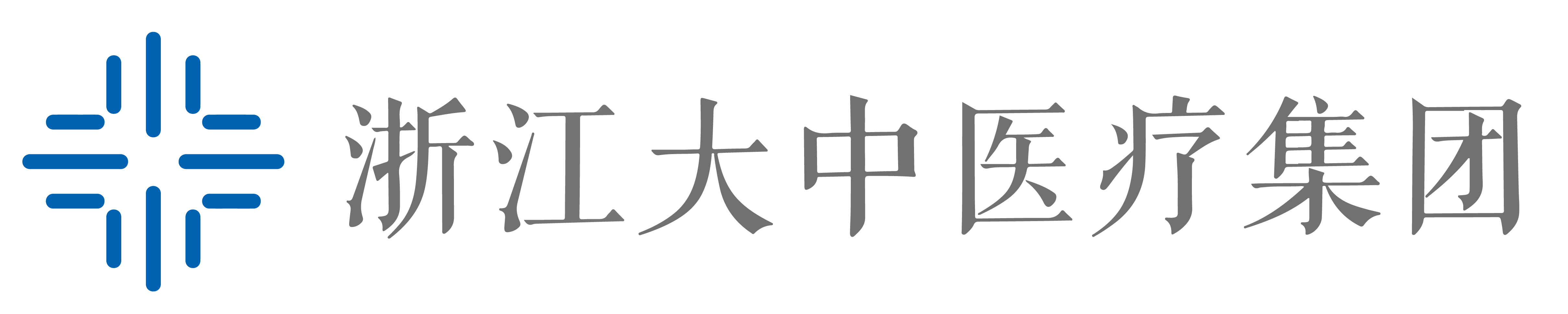 浙江大中医疗集团