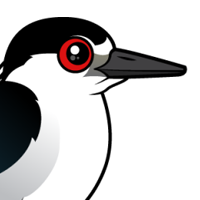 15000元电脑配置