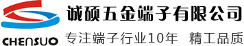 圆环端子,铜带机铜带,250