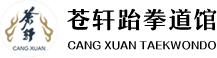 昆山苍轩跆拳道