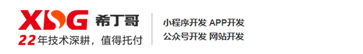 网站开发