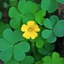 眉县同城信息610326.COM