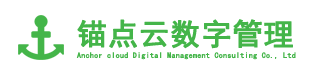 锚点云数字管理咨询