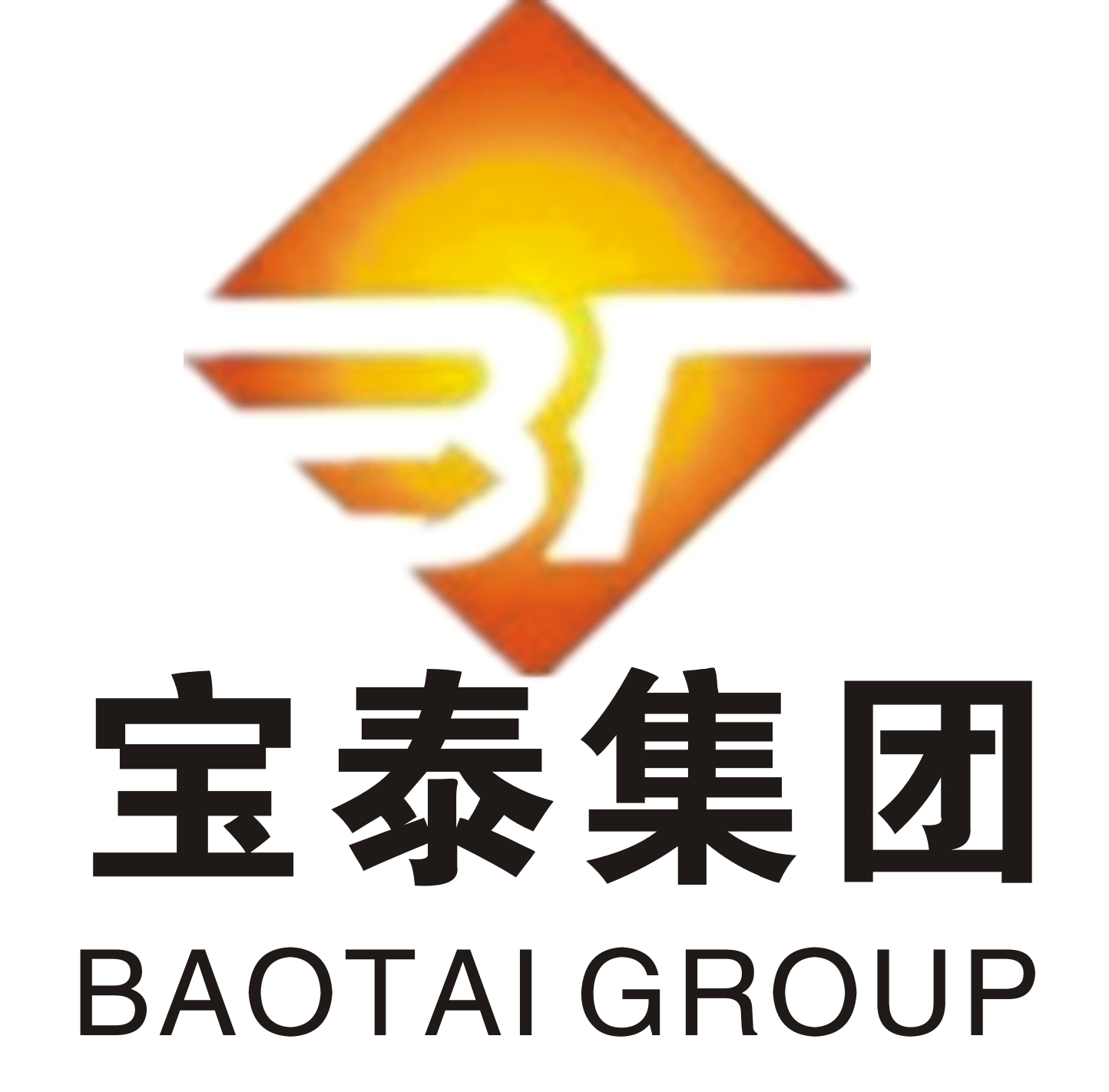 浙江宝泰控股集团有限公司