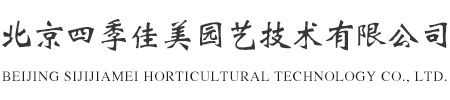北京花卉出租