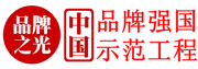中国品牌强国示范工程