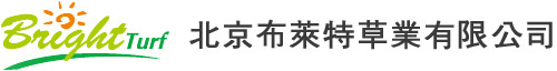 黑麦草草种/草种批发/护坡草种/花种批发/牧草种子/灌木种子/观赏草种批发