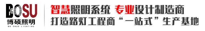 山东博硕照明科技有限公司