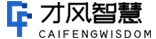 才风智慧科技（武汉）有限公司