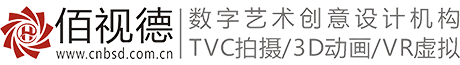 佰视德