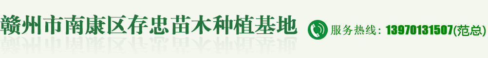 赣州市南康区存忠苗木种植基地,存忠苗木种植基地