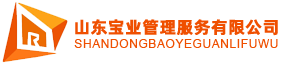 山东宝业管理服务有限公司