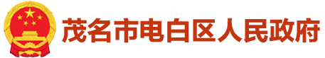 电白区人民政府网