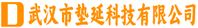 武汉市垫延科技有限公司