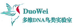 多维
