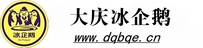 大庆冰企鹅