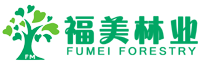 福建福美林业有限公司