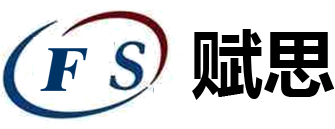 武汉市赋思科技有限公司