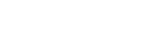 丰周AI