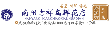 南阳鲜花店