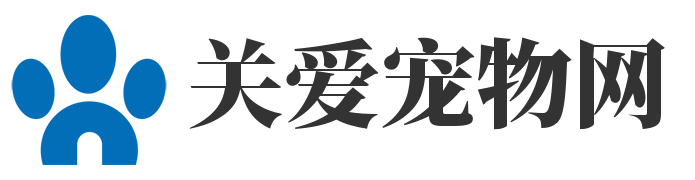 关爱宠物网