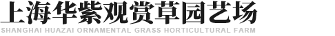 上海华紫观赏草园艺场