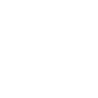中国冠军香榧