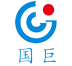 国巨财务