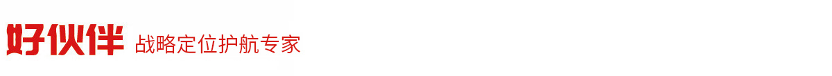 好伙伴战略定位咨询官网