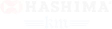 HASHIMA检针机