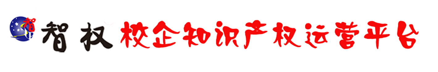 智权武汉知识产权运营平台