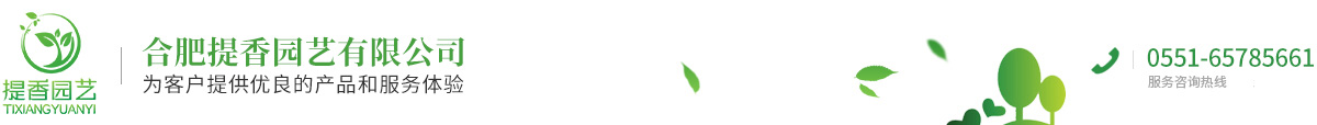 合肥提香园艺有限公司
