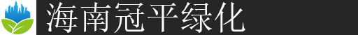 海口大树树枝高空修剪庭院花园清理运输