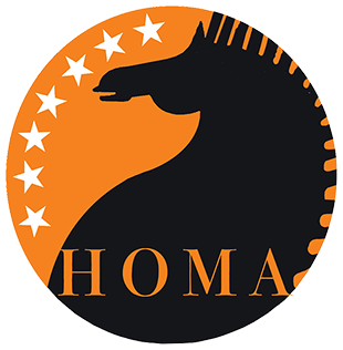 浙江港龙木结构科技有限公司