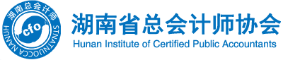 湖南省总会计师协会
