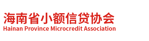 海南省小额信贷协会